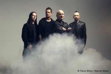 Disturbed